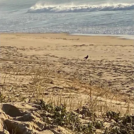 -guest House - Caparica - - Surf Sun And Lisbon Lovers Trafaria